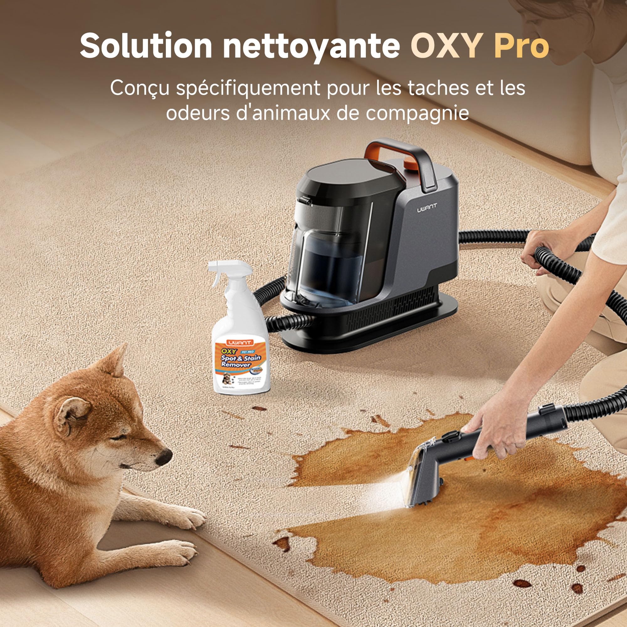 Uwant Y100Pet Spécial Animaux Shampouineuse Canape for Élimine taches et odeurs, Aspiration 850W Rapide et Facile, Extracteur de poils, Léger et portable, Pet Pro Solution de nettoyage