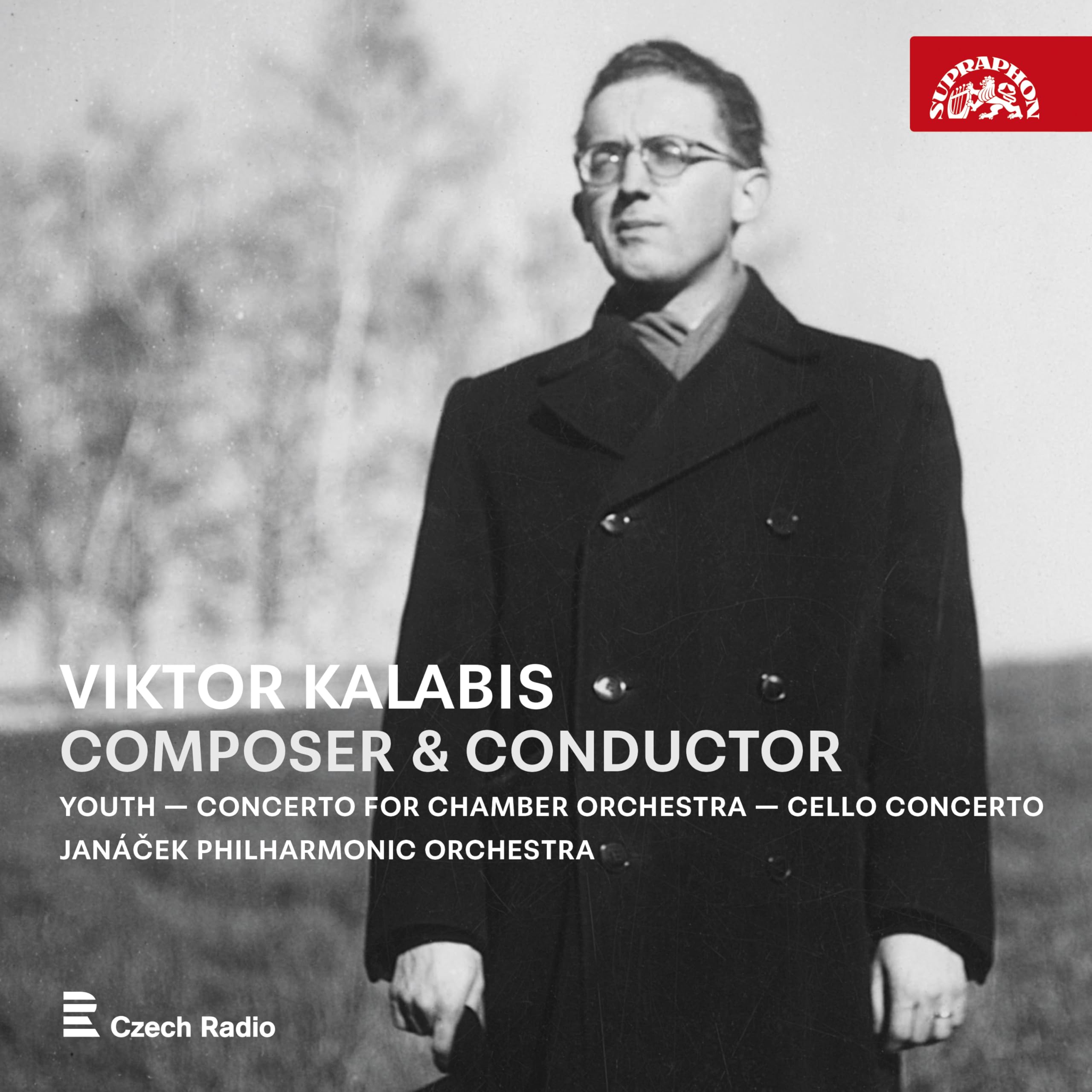Youth, Concerto for Chamber Orchestra, Cello Concerto