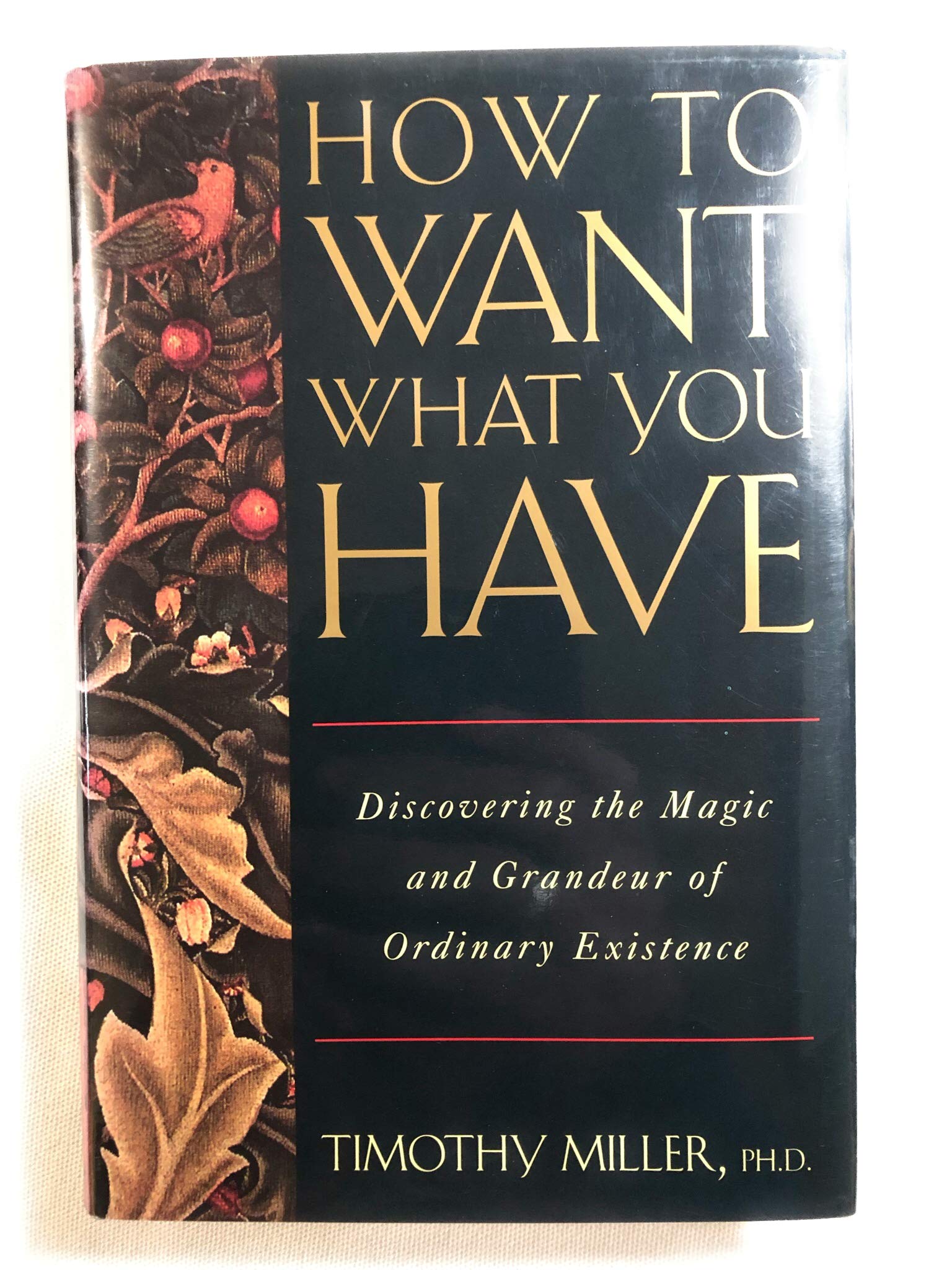 How to Want What You Have: Discovering the Magic and Grandeur of Ordinary Existence