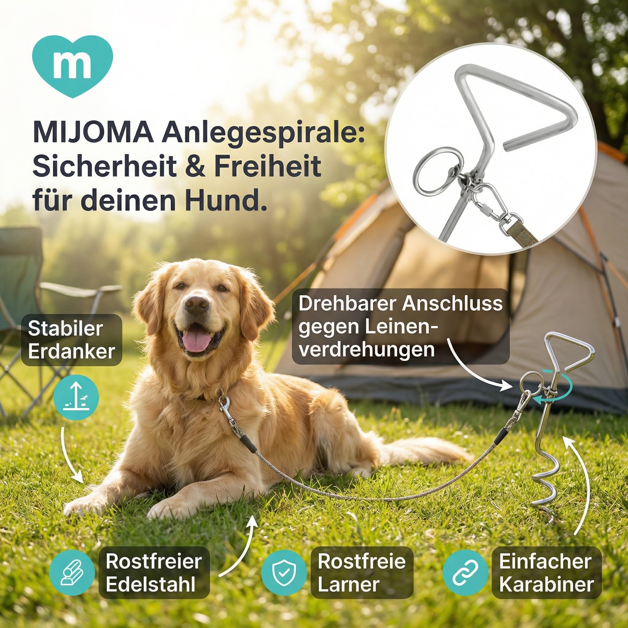 MIJOMA Spirale d'insertion pour chien - Ancrage rotatif avec mousqueton - Acier inoxydable - Ancrage au sol - Jardin Camping