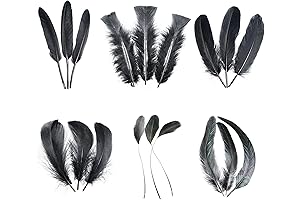 Black Craft Feathers 240pcs Raven Feathers for Wedding, Home Party, Dream Catcher...