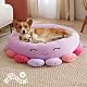 Squishmallows 20-Inch Beula Octopus Pet Bed - Small Ultrasoft Official Squishmallows Plush Pet Bed Product Image 6