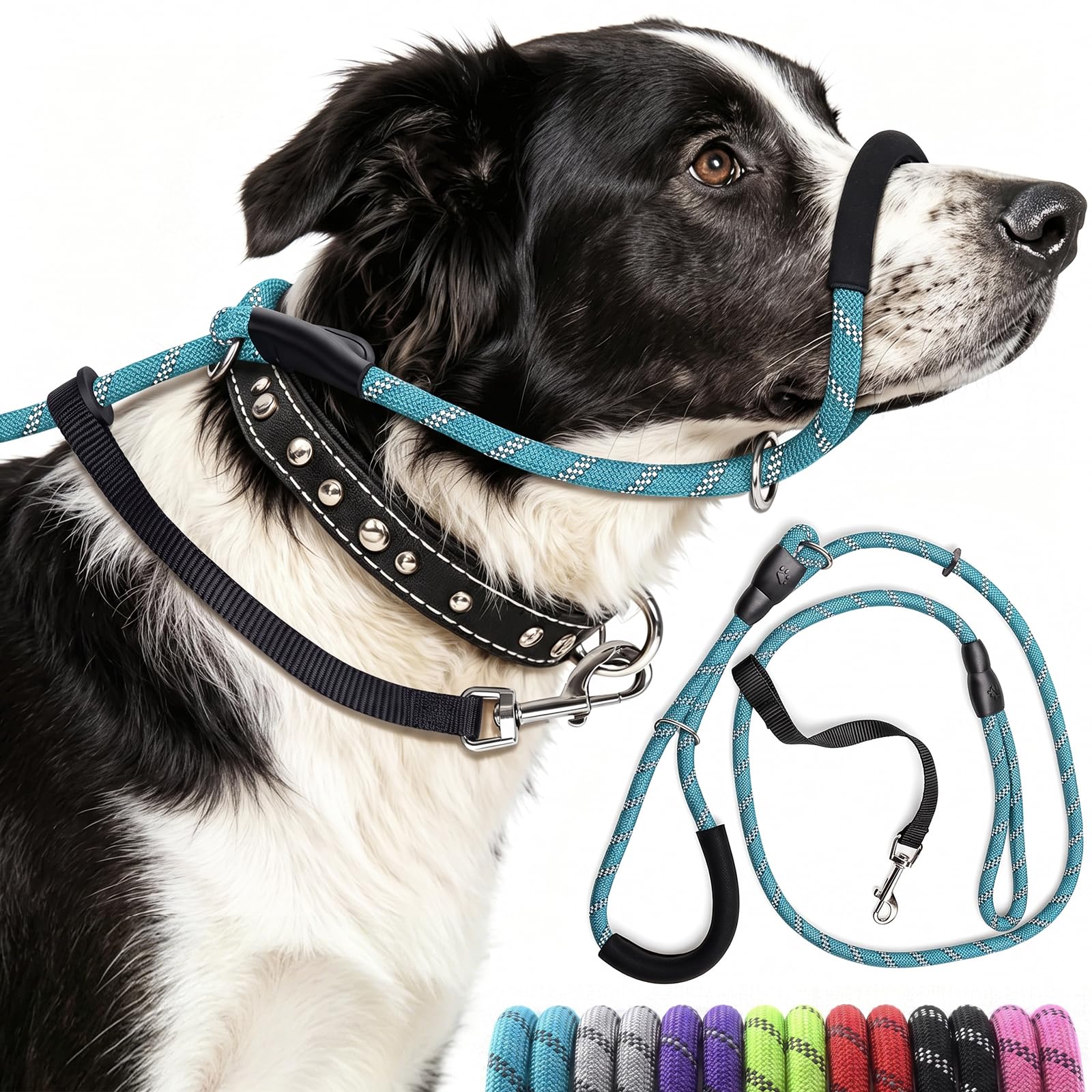 Figure of 8 Dog Lead, Anti Pull Dog Lead, Nose Pad & Reflective, Blue