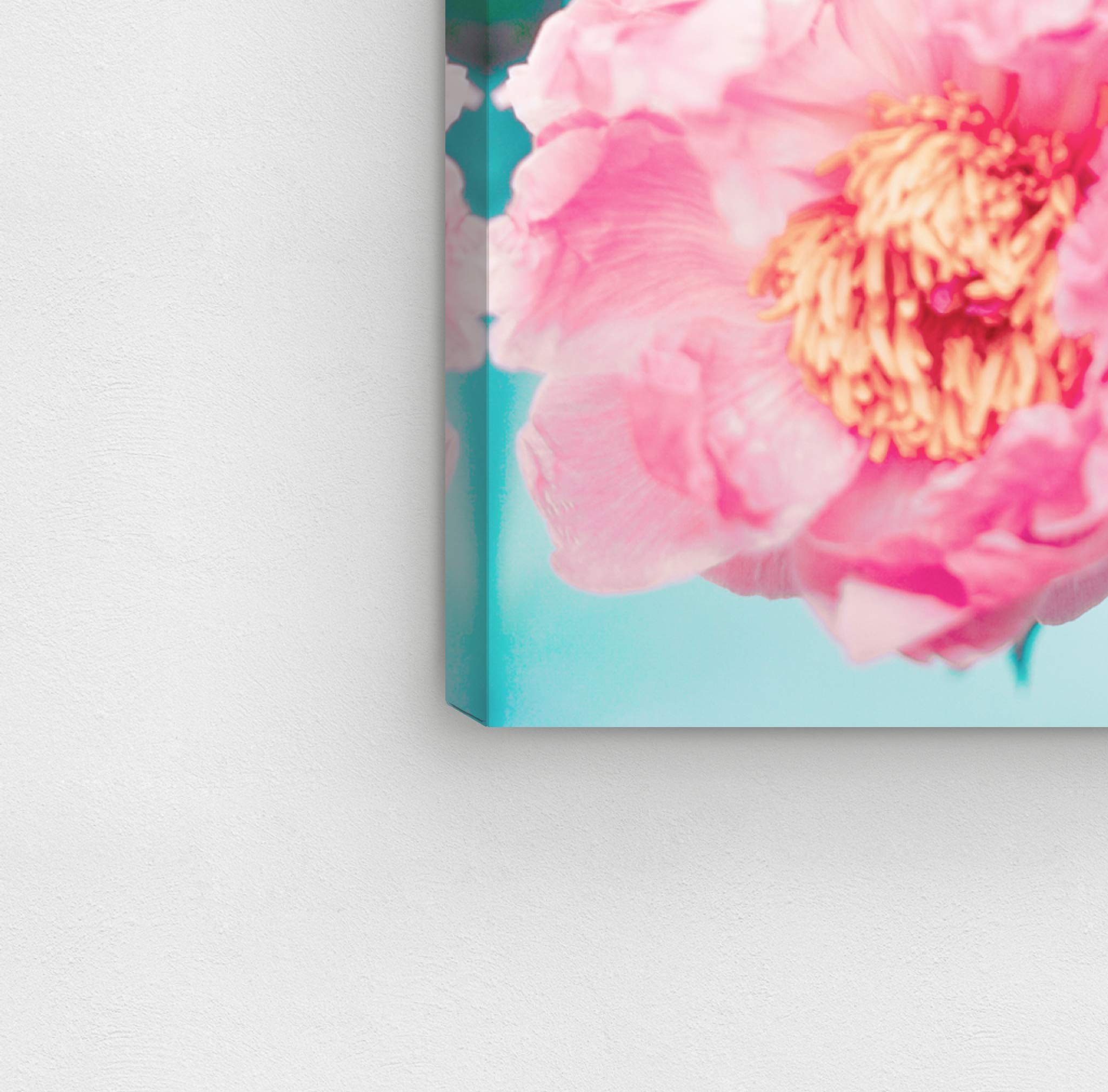 Amazon.com: The Oliver Gal Artist Co. Floral Wall Art Canvas