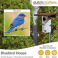 Vista 4 de DutchCrafters Pole Mount Gilbertson Bluebird House with Removable Base, Durable Weatherproof Birdhouse Blue Bird Nesting Box for Outdoors