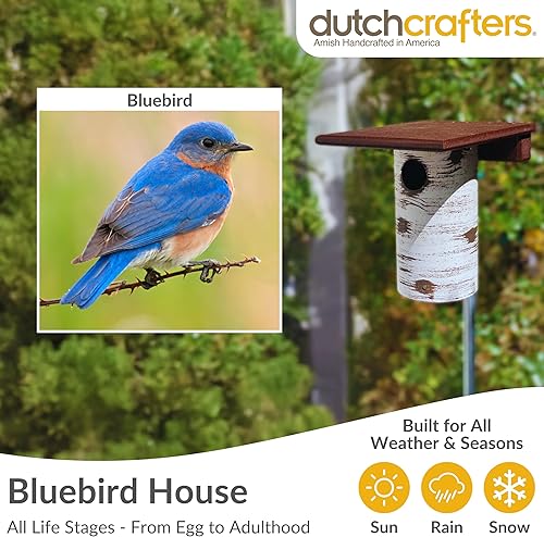 Miniatura 4 de DutchCrafters Gilbertson - Casa de pájaros azules con base extraíble, duradera y resistente a la intemperie, caja anidable para pájaros azules para
