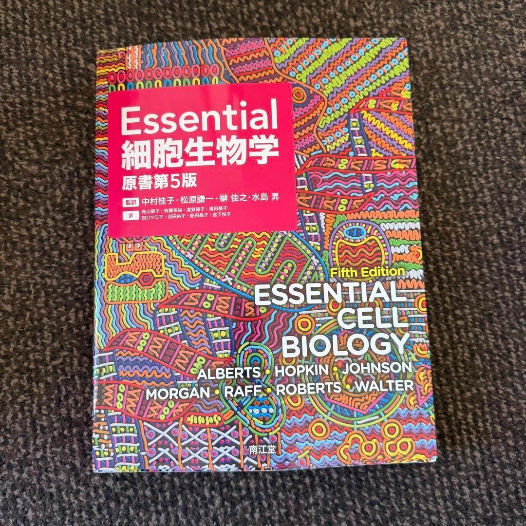 NMB48 8期生 松本海日菜 生写真 コースター クリップ グッズ セット