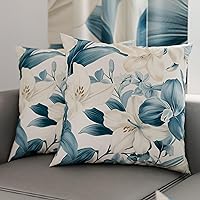 PETTI Artigiani Italiani - Coppia di Federe Cuscino 80x80 cm in Microfibra