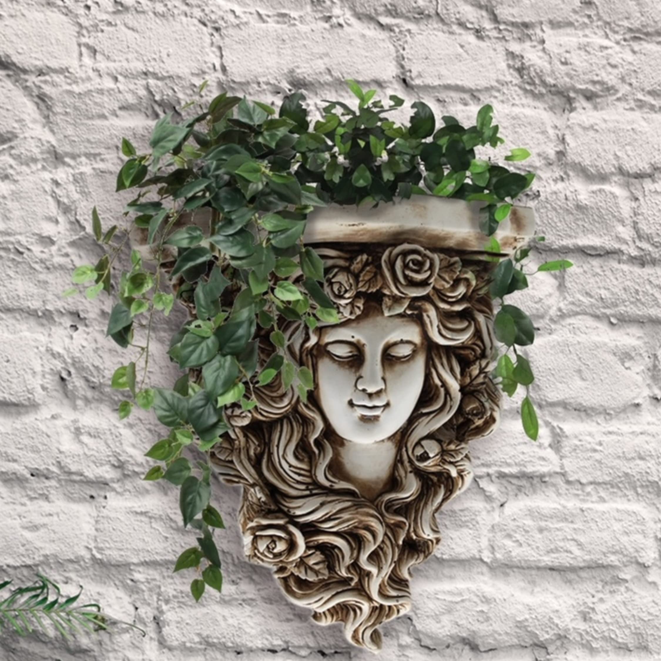 Quirky Boutique Face Wall Planter, Wall Mounted Head Planter, Unusual Face Plant Pots, Face Vase,Succulent Cactus Planter, Suitable for Indoor and Outdoor use