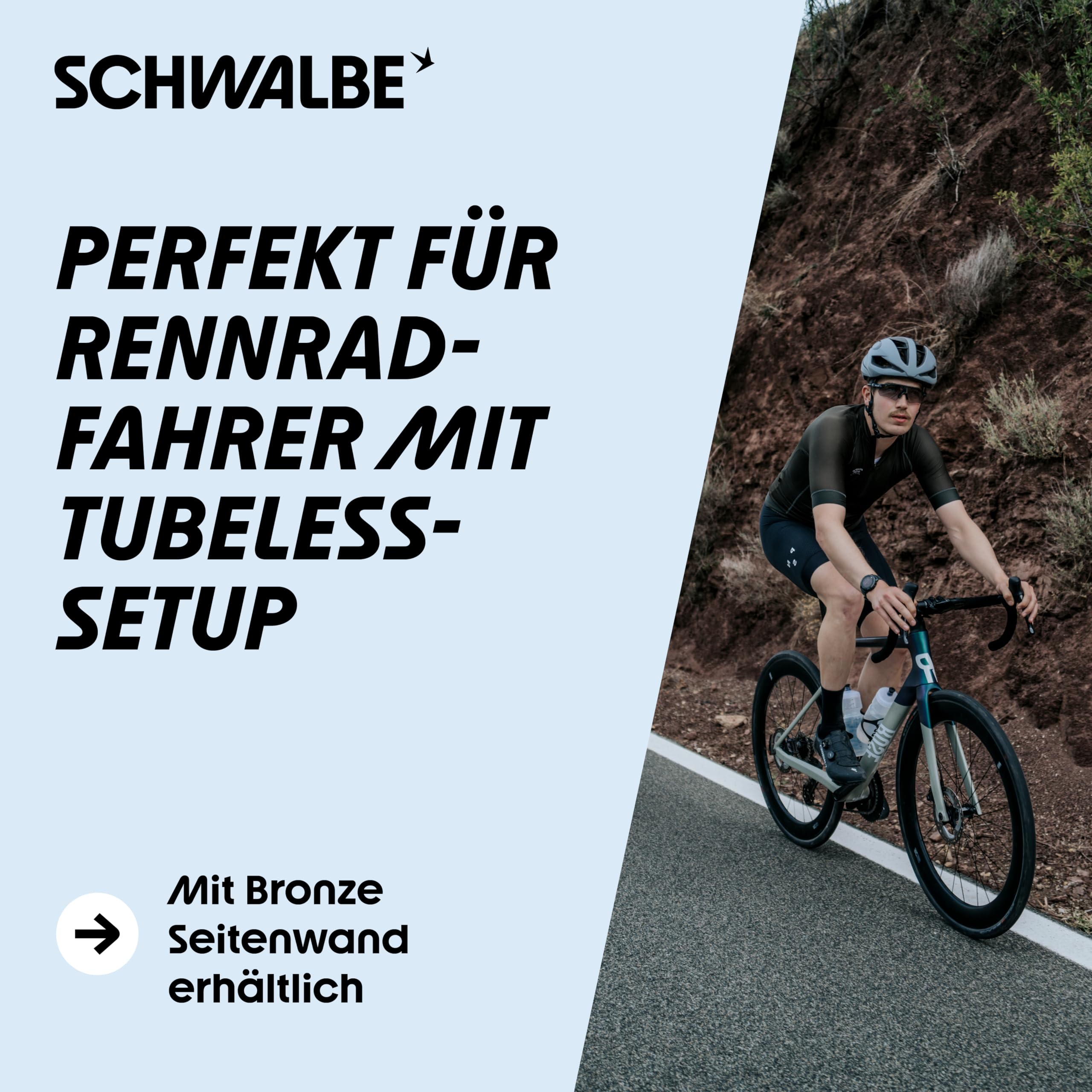 Amazon.com : Schwalbe - One Race and Road Tubeless Folding Bike