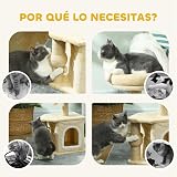 Ver la foto 4