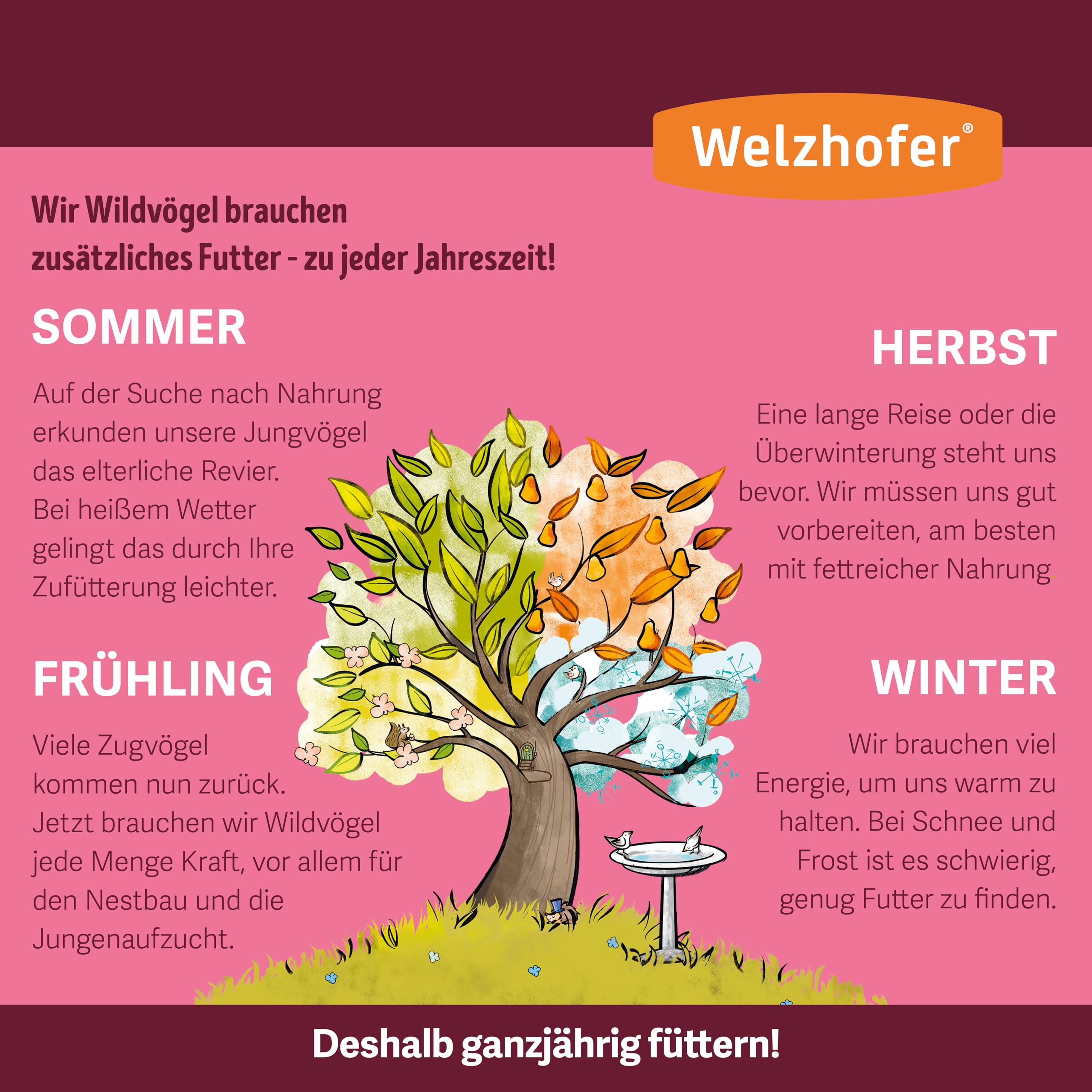 Aufbaufutter 10kg – Nährstoffreiches Vogelfutter für Jungvögel & ihre Eltern. Schnelle Stärkung für geschwächte & ältere Vögel. Haferflocken, naturbelassenes Fett & essenzielle Nährstoffe