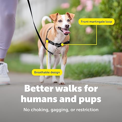 Miniatura 4 de PetSafe Arnés Easy Walk para perros, paseos sin tirar, diseño patentado de bucle Martingala, fijación de correa delantera en el pecho, correas