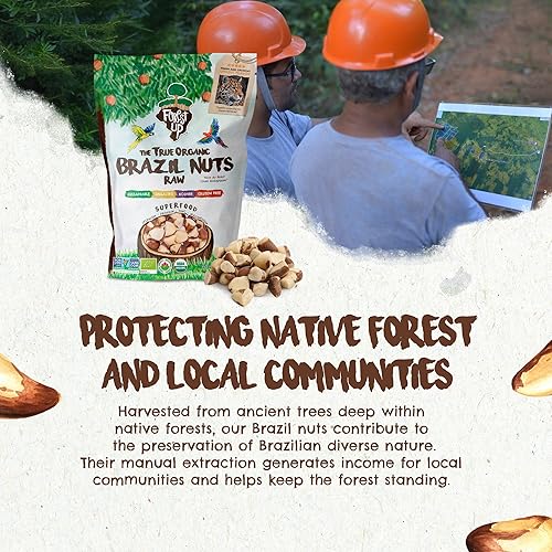 Vista 35 de Snack The True Organic Brasil Nuts 15 oz – Crudos y sin sal – Kosher – Saludables ricos en proteína vegetal – Cosechados en la selva amazónica