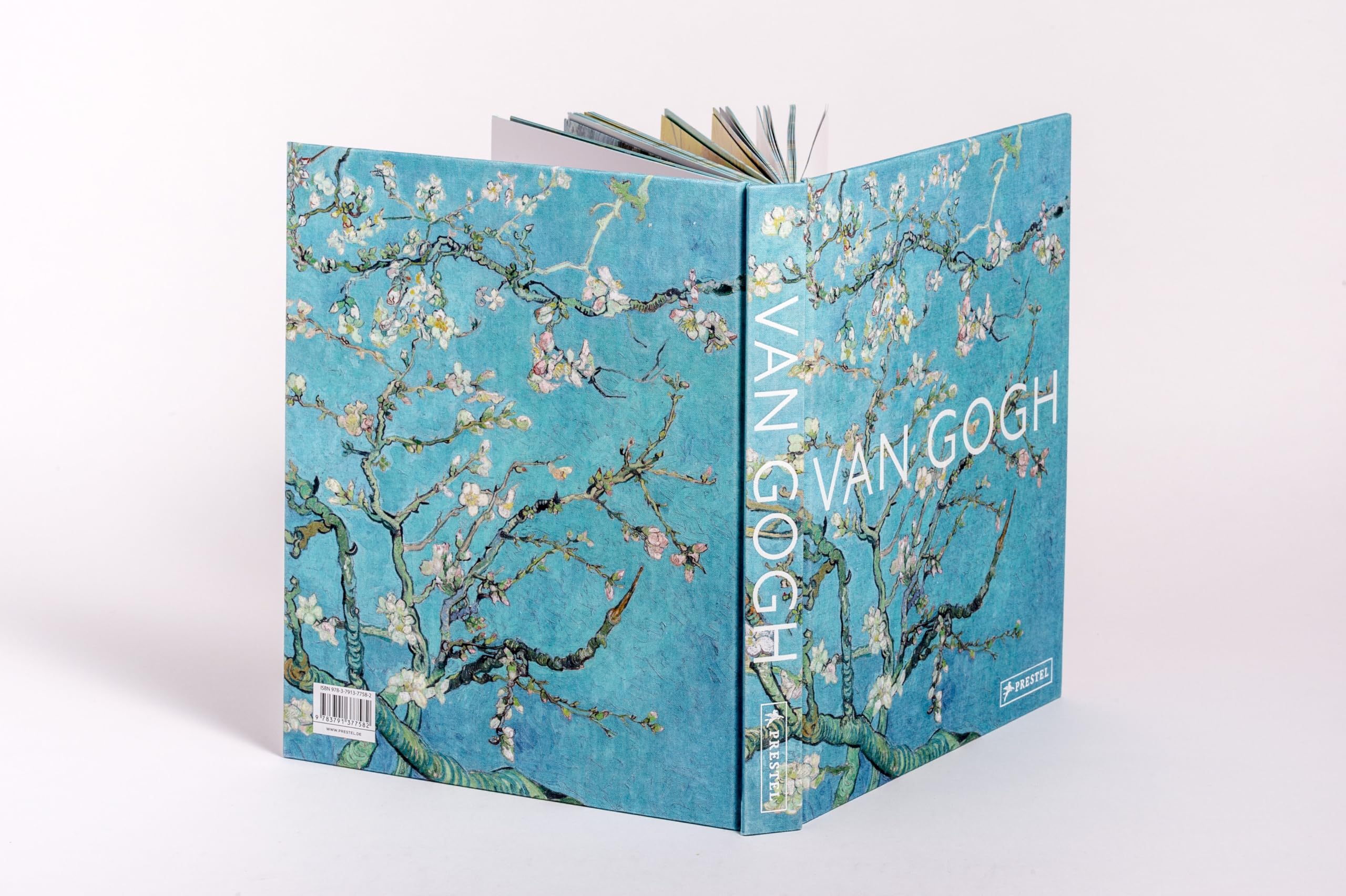 Van Gogh: Meisterwerke - Kunst groß im Bild - Seine Hauptwerke in einer attraktiven Leinenausgabe mit Motiv-Farbschnitt und sechs opulenten Ausklapptafeln (Meisterwerke im Großformat, Band 1)