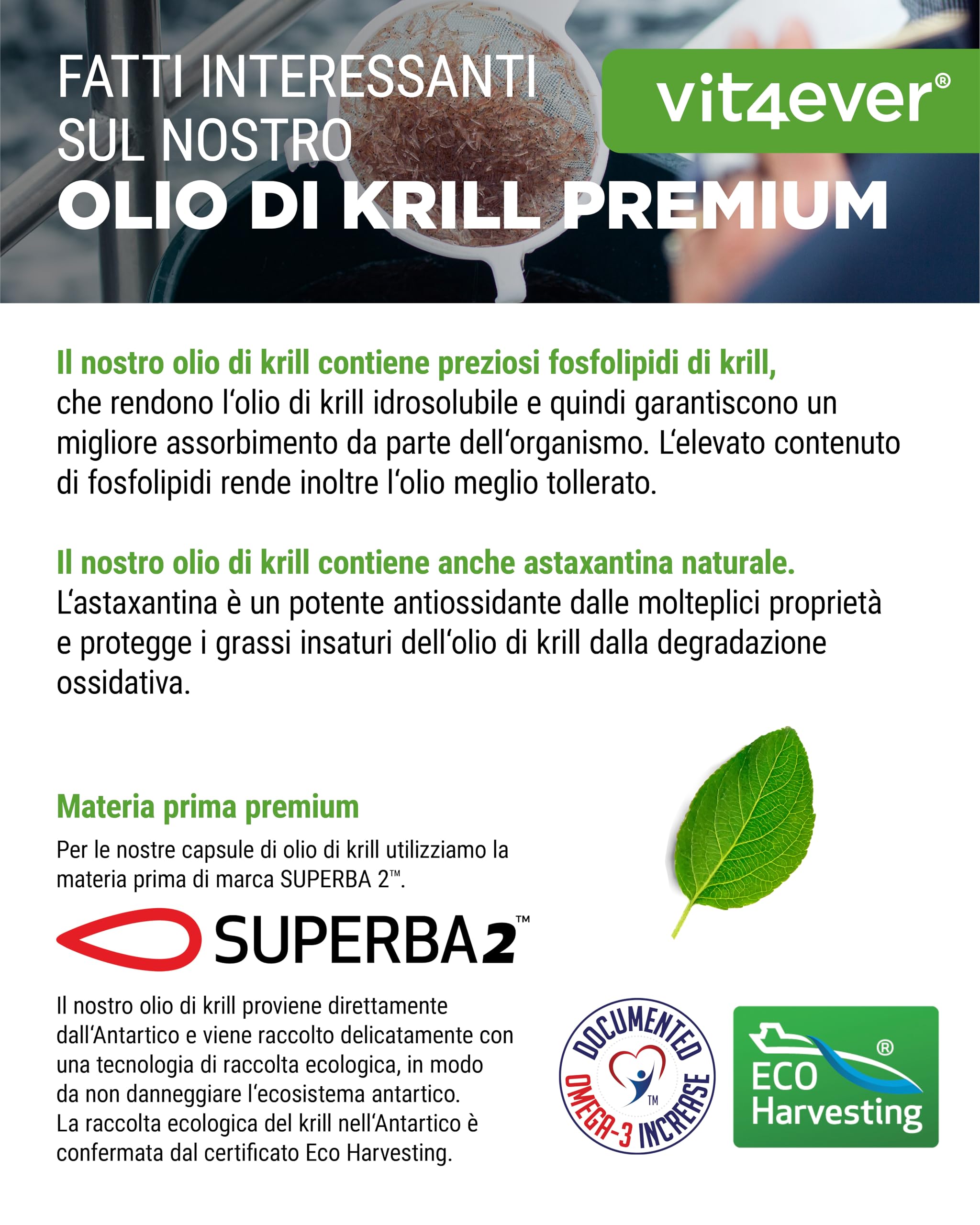 Krill Oil - 120 Capsule - Premium: Superba Antarctic Krill Oil - Ricco di EPA + DHA + Astaxantina + Fosfolipidi + Acidi grassi Omega 3 - Da coltivazione sostenibile.