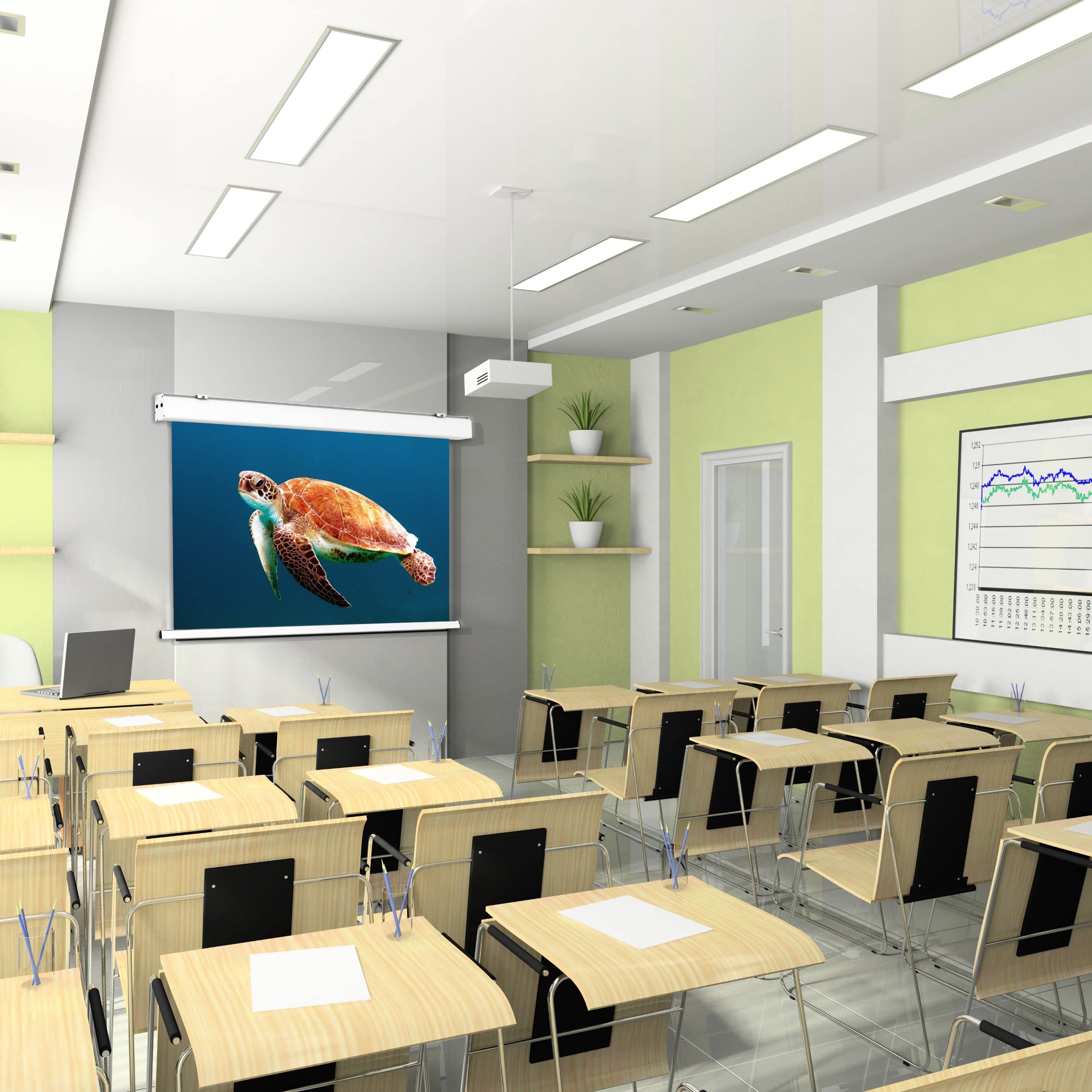 celexon Expert XL écran de Projection motorisé 175" | 350x265cm 4:3