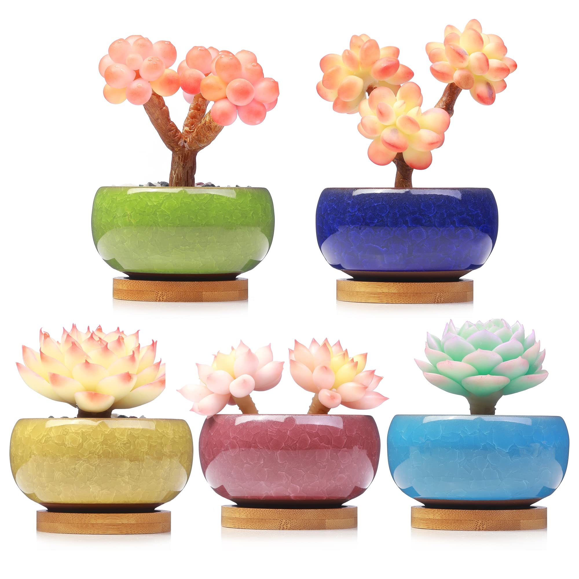 LAMDAWN Cute Ceramic Succulent Planters, Tiny Porcelain Garden Pots with Drainage and Plant Saucers, Set of 5 - Plants Not Included (Crackle Round)