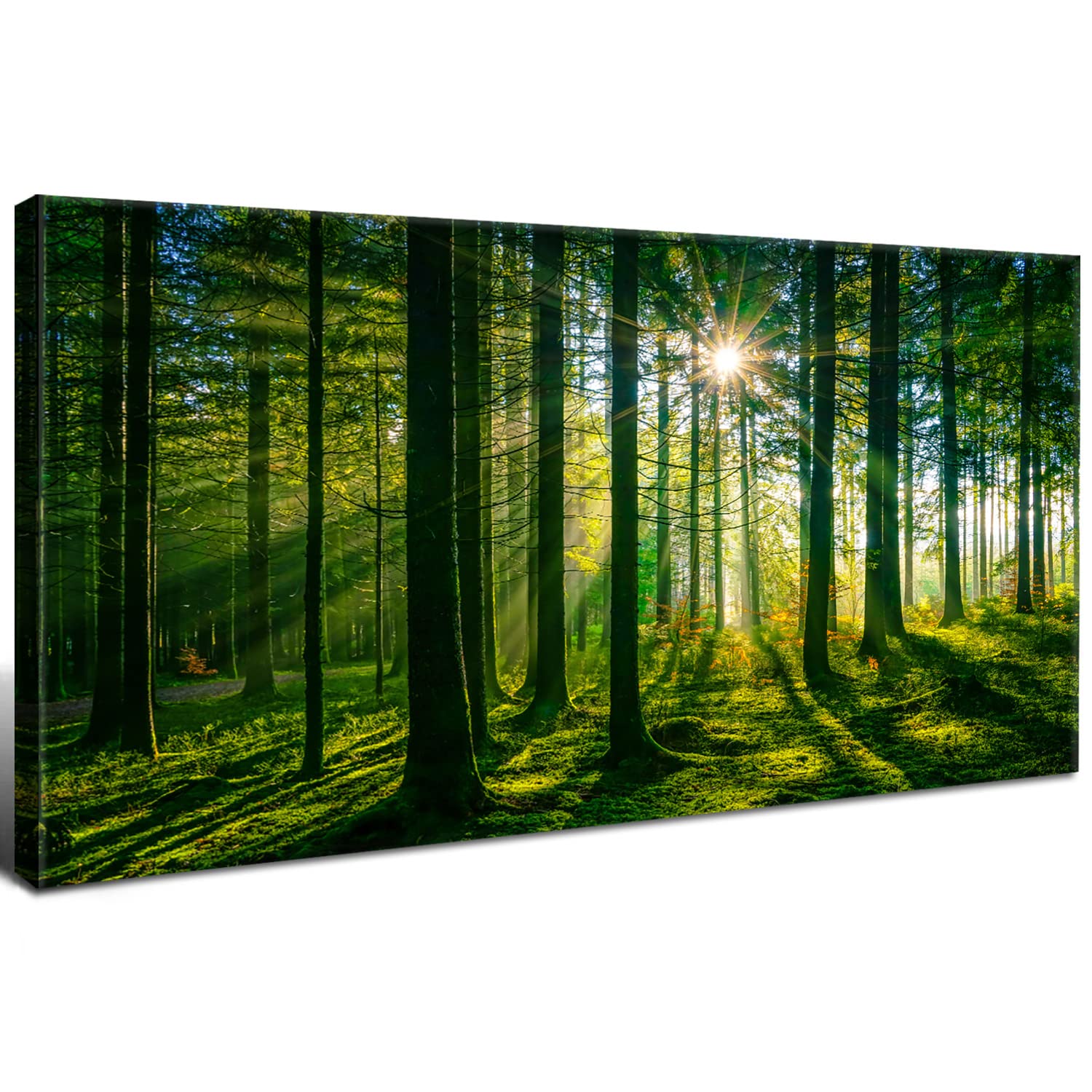 AIYISU Green Forest Canvas Wall Art Sunshine Forest Pictures Wall Decor Nature Sunlight Scenic Painting Poster Spring Forest Trees Prints Artwork for Living Room Bedroom Office Home Decorations 20x40