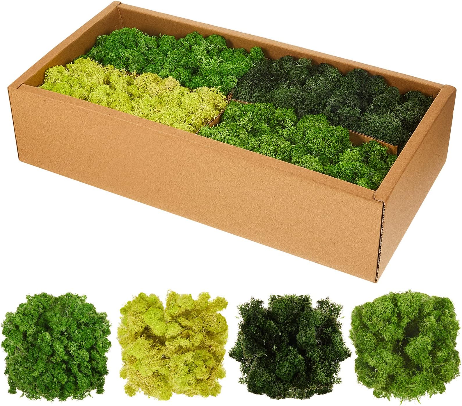 Juexica 4 Color Preserved Moss Reindeer Moss for Potted Plants Moss Decor for DIY Craft Florist Terrarium Artistic Decoration Forest Fairy Gardens Wall Art Wedding Table Decor, Total 20 oz Each 5oz