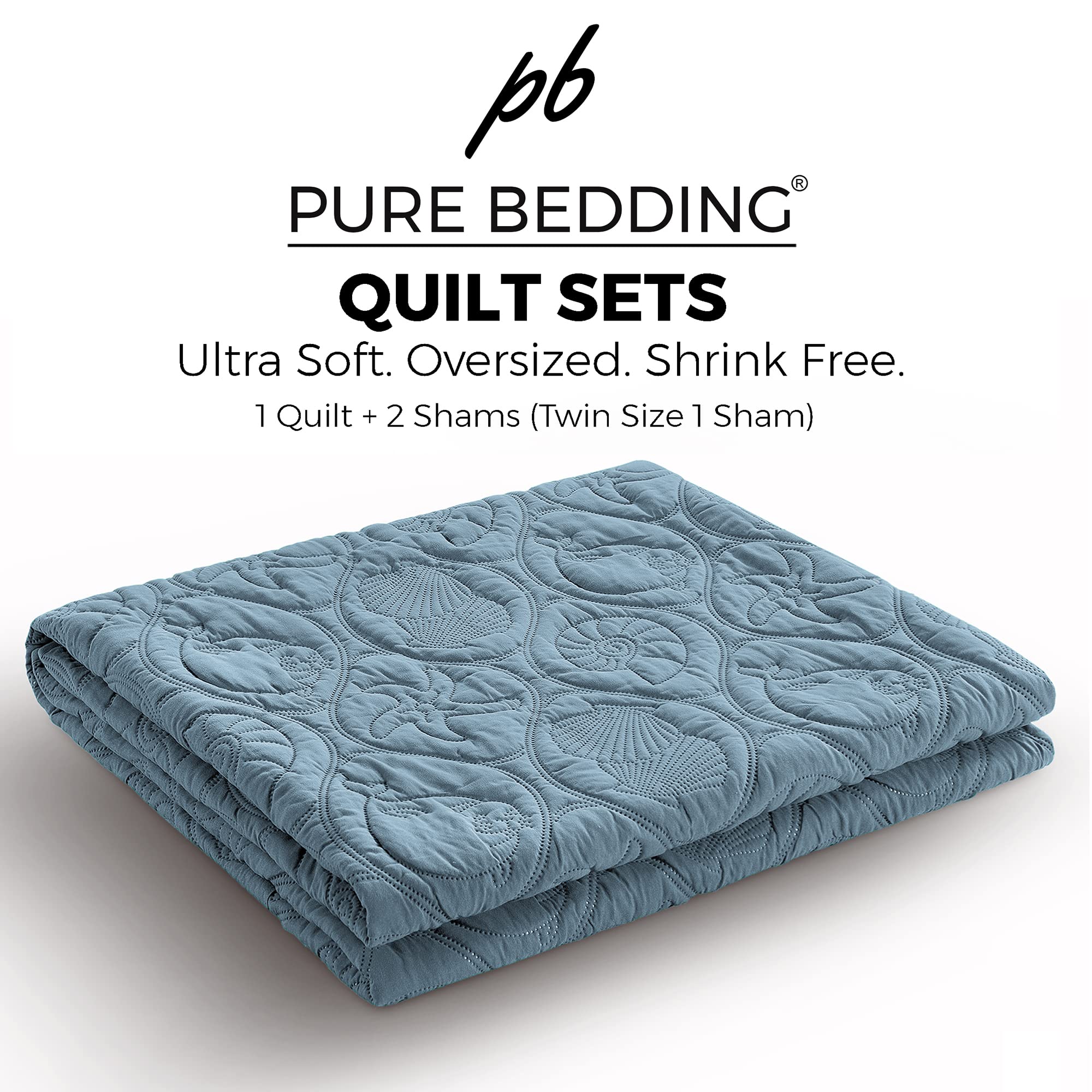 Pure Bedding Übergroße Tagesdecke - Weiche, leichte Tagesdecke aus Mikrofaser für die ganze Saison (Voll/Königin - Quadratisch Aschblau)