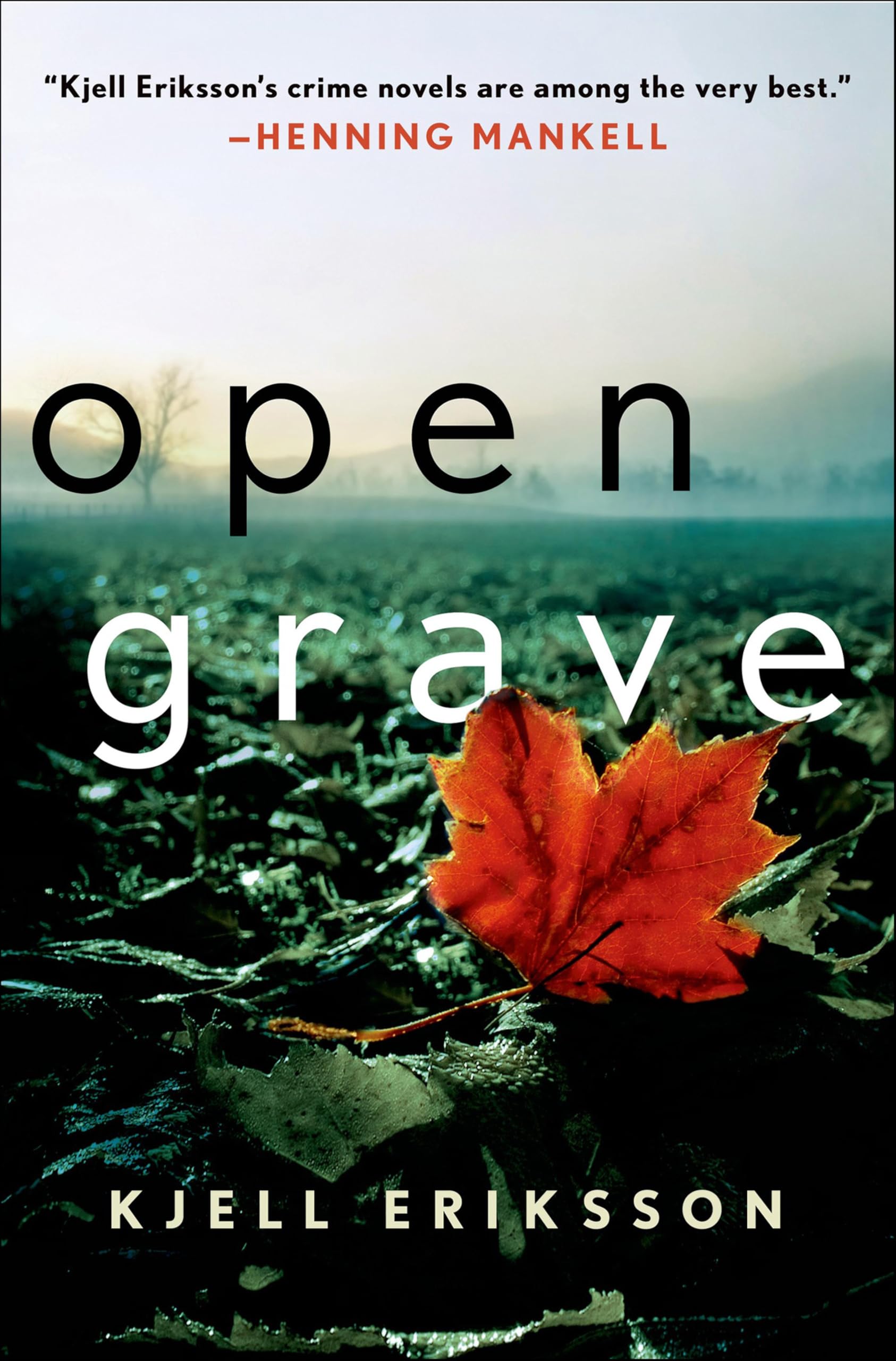 Kindle eBooks in English