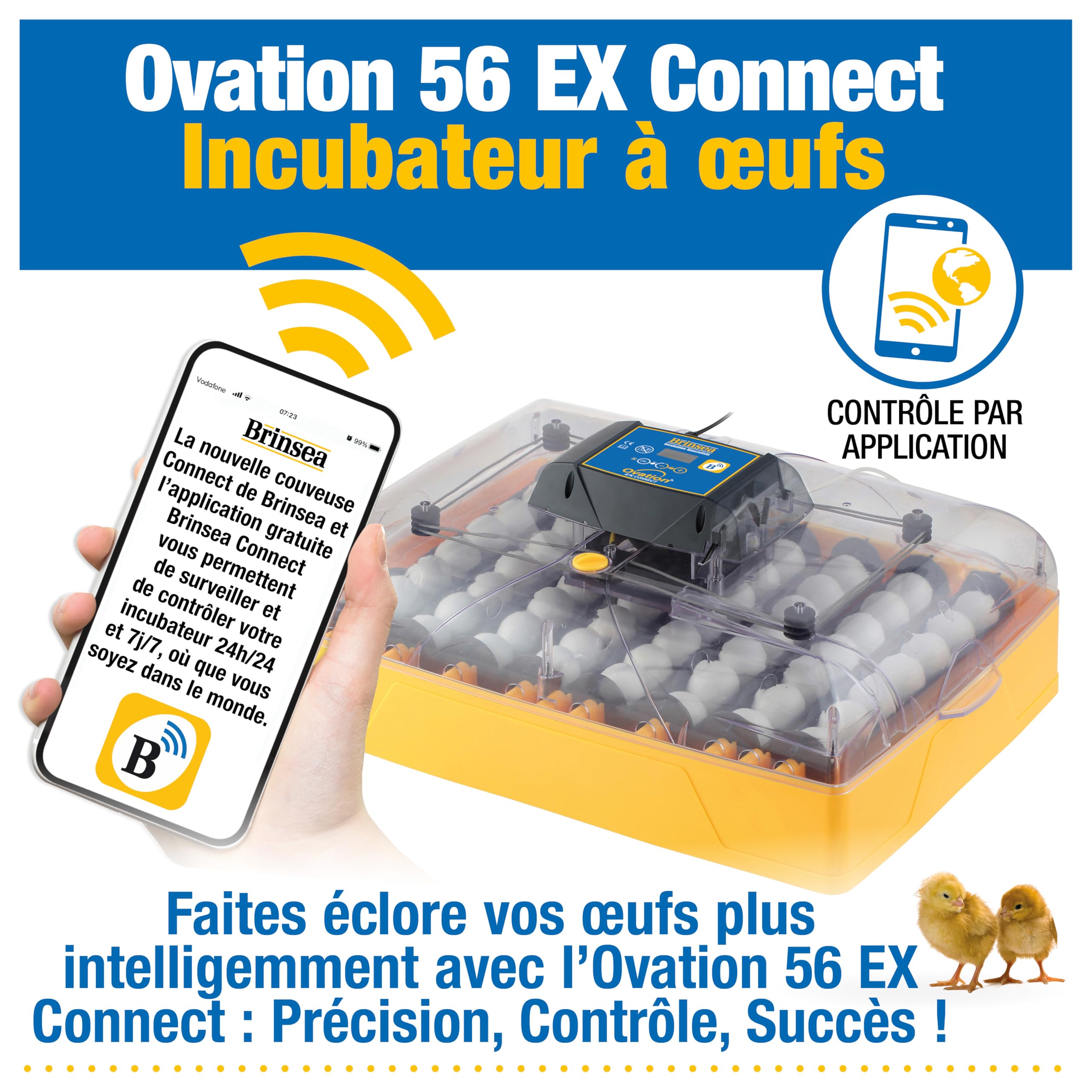 Incubadora Brinsea Ovation 56 EX Connect – Incubadora totalmente automática para 56 huevos de gallina con control mediante aplicación móvil.