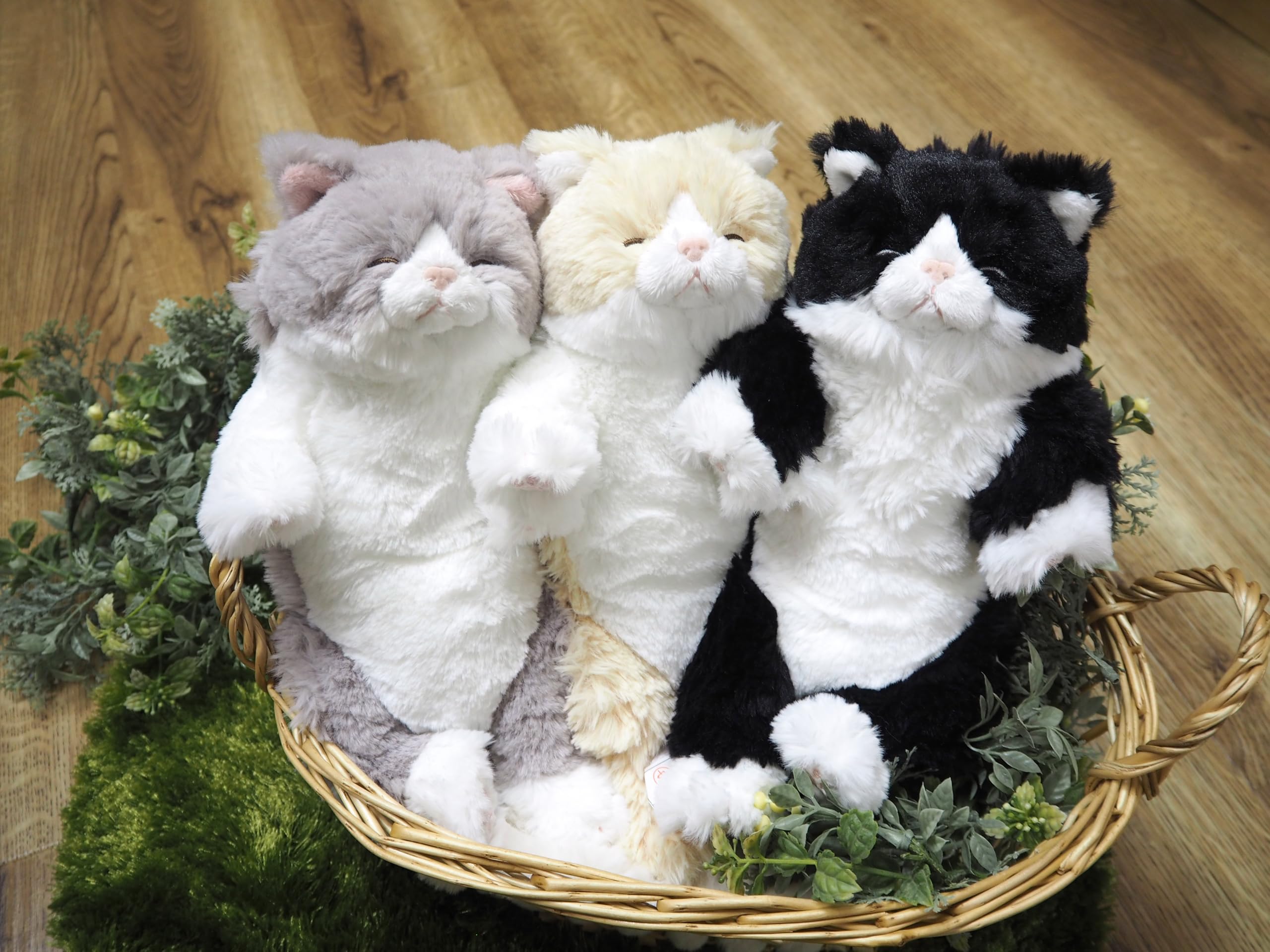 Amazon.co.jp: サンレモン ひざねこ すやすや S ハチワレ 15×18×34cm