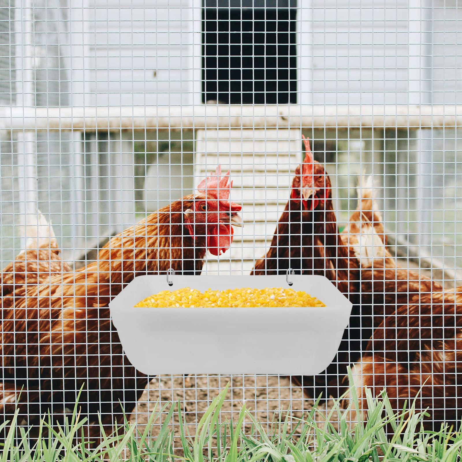 ibasenice Mangeoires à Poulets en Plastique Lot de 2 Récipient d'alimentation pour Poussins et Abreuvoir pour Volailles Usage Extérieur