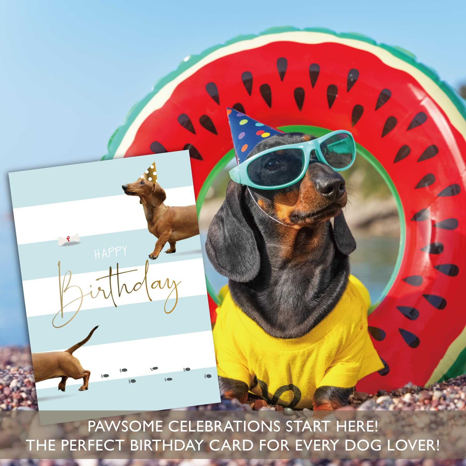 Carte D'anniversaire 60 Ans Avec Teckel Et Ballons - Design Humoristique Pour Amoureux Des Chiens - Format A5 Avec Enveloppe