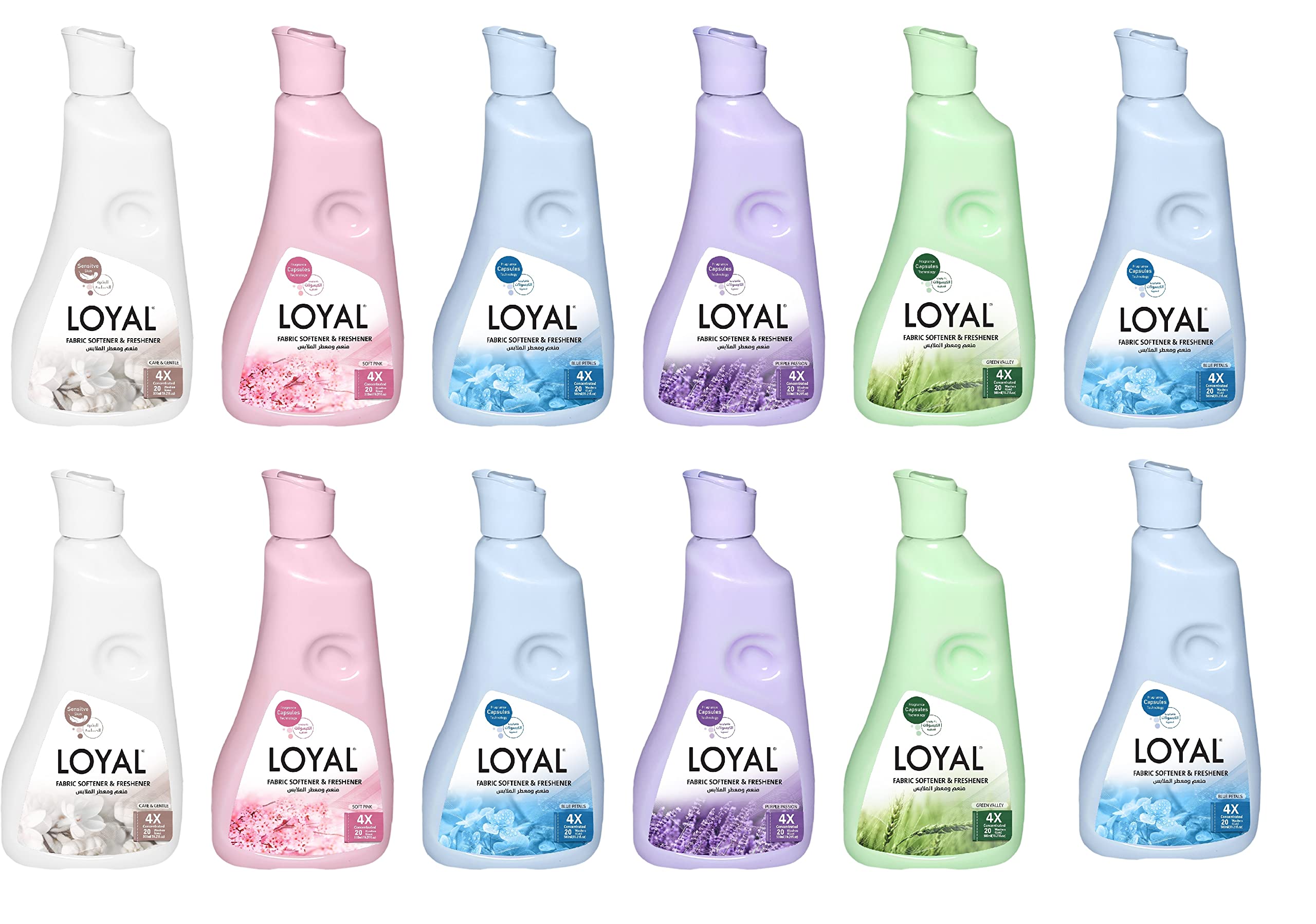 Loyal Fabric Softener And Freshener 5X Concentrated 500ml Pack Of 12