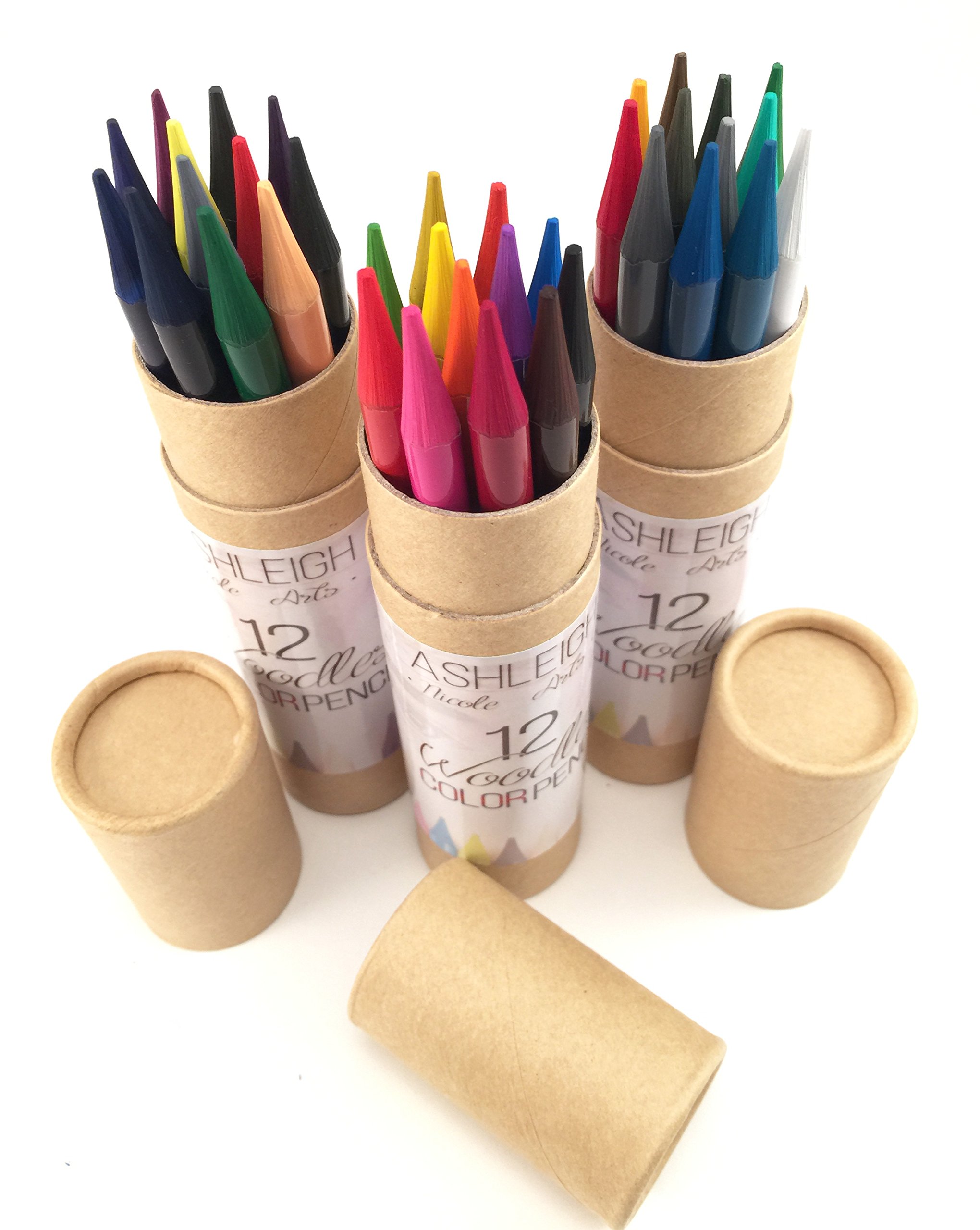 Ashleigh Nicole Arts Woodless Colored Pencils Set - 36 Colors