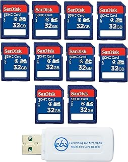 10 Pack SanDisk SD HC 32 GB Class 4 Flash Memory Card SDSDB-032G Retail SDHC - with Everything But Stromboli (tm) Combo Reader