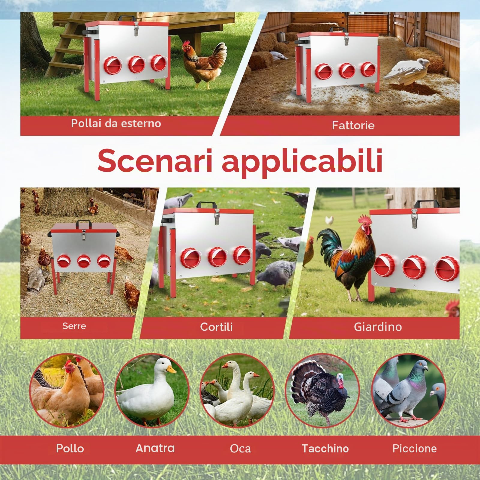 Mangiatoia Automatica per Polli con Grande Capacità 15 kg (33 libbre), Mangiatoia per Polli a Prova di Ratto con 6 Fori di Alimentazione per Allevamento di Anatre/Oche, per Uso in Pollaio