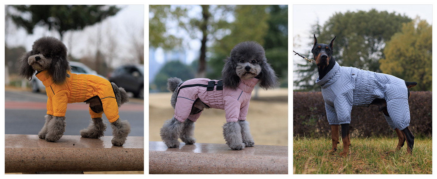 GDOKKNY Waterproof Winter Coats For Small Breed Dogs - Thickened Clothes With Harness, Warm Vest Jackets For Chihuahua And Small Breeds (Back Length Increased By 8cm/3.15in