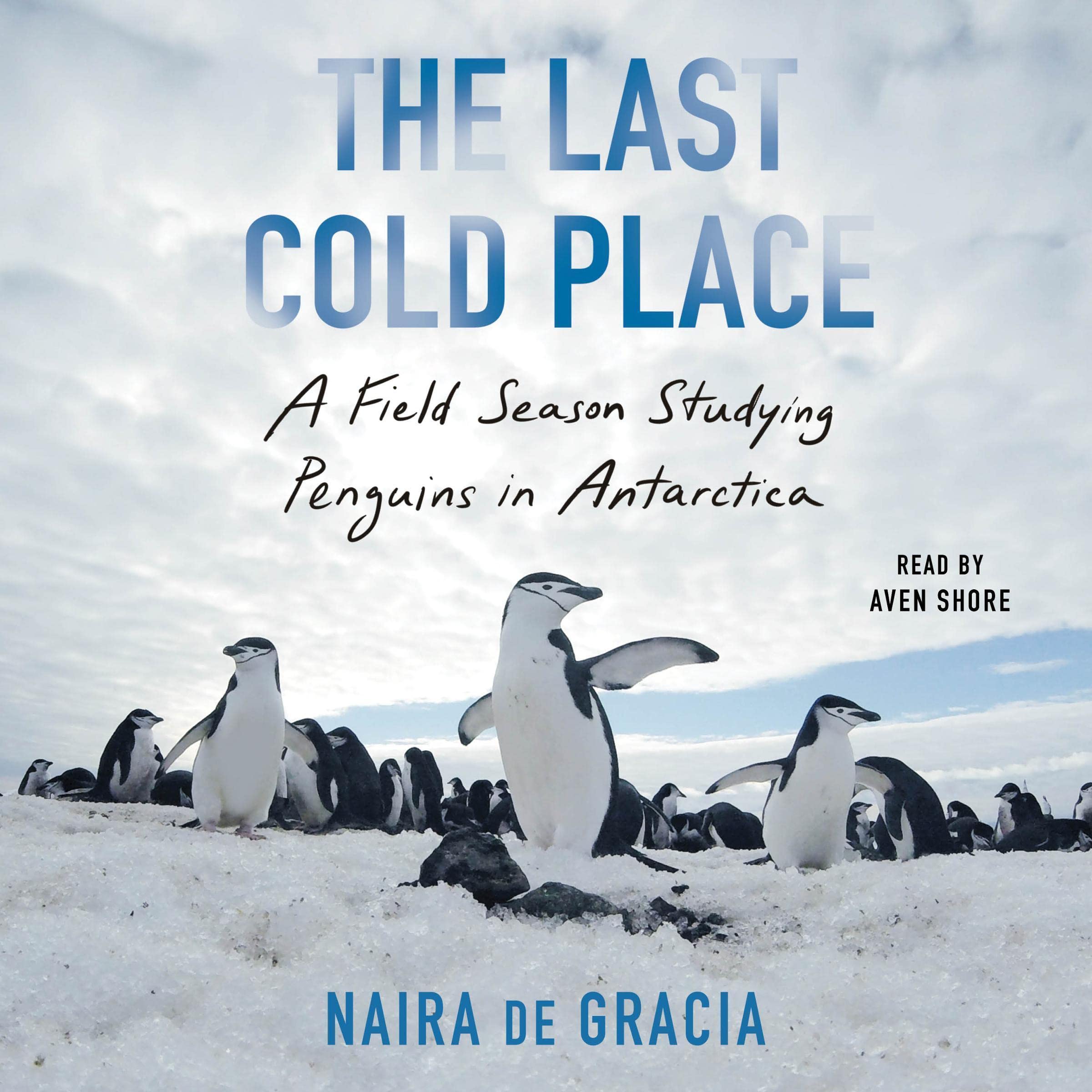 Cover art for The Last Cold Place