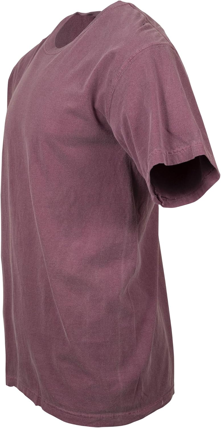 Comfort Colors Men's Adult Short Sleeve Tee, Style 1717 Large Berry (2 Pack)