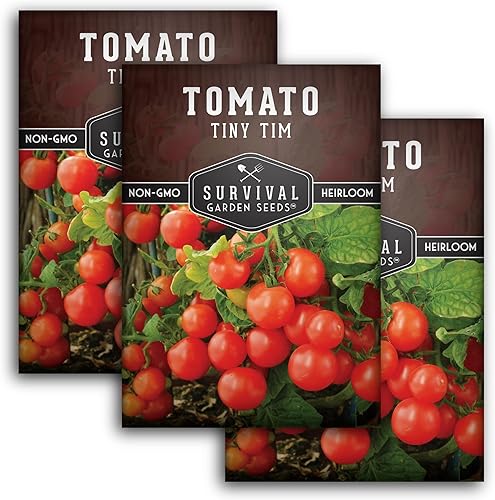 Survival Garden Seeds - Tiny Tim Semilla de tomate para plantar - Paquete con instrucciones para plantar y cultivar tomates pequeños en tu huerto
