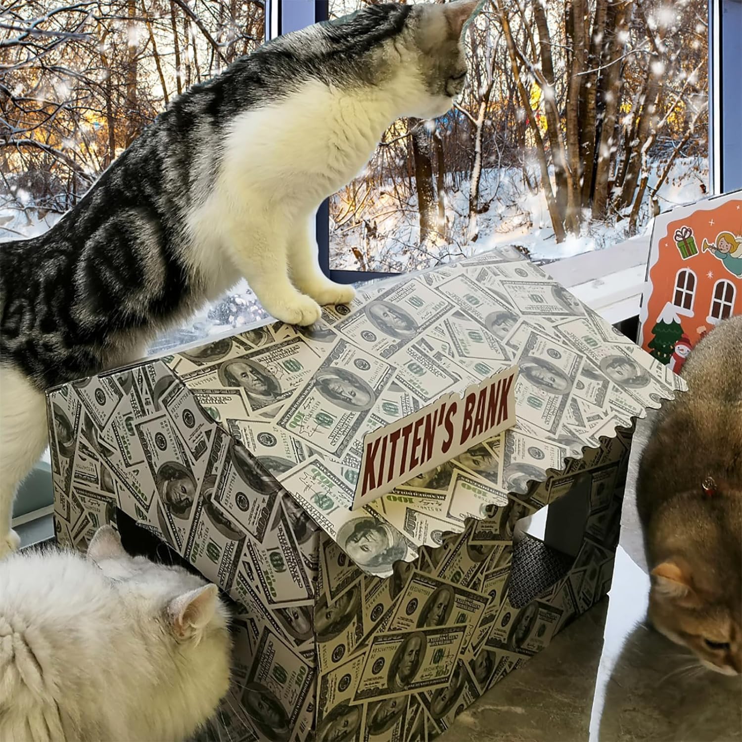 review Cat House with Scratch Pad, Cat Beds for Indoor Cats, Cat Scratching Pad Toy, Christmas Decorations for Cats, Thanksgiving Gifts for Cats