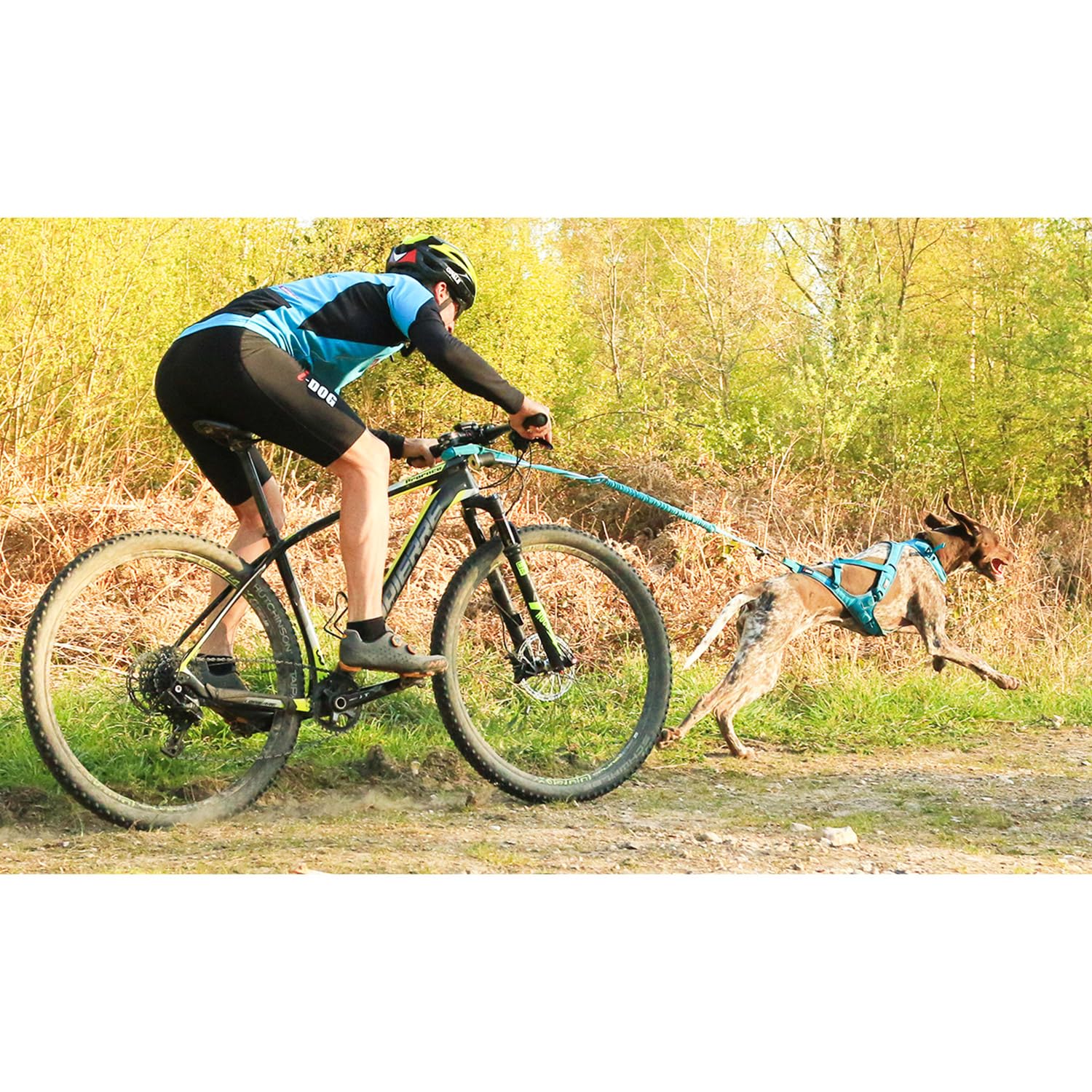 Barre VTT Link Gamme ALM déport 50cm (Roue Jusqu'à 29 Pouces) Barre VTT pour LA Pratique du CANI VTT ET DE LA CANI Trottinette.