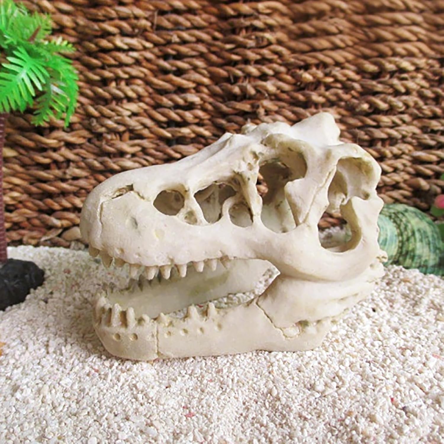 6.75 X 4 X 3.75 Inch Resin Water Feature Dinosaur Skull Ornaments Decorations for Fish Tank, Home and Office 22039-1D