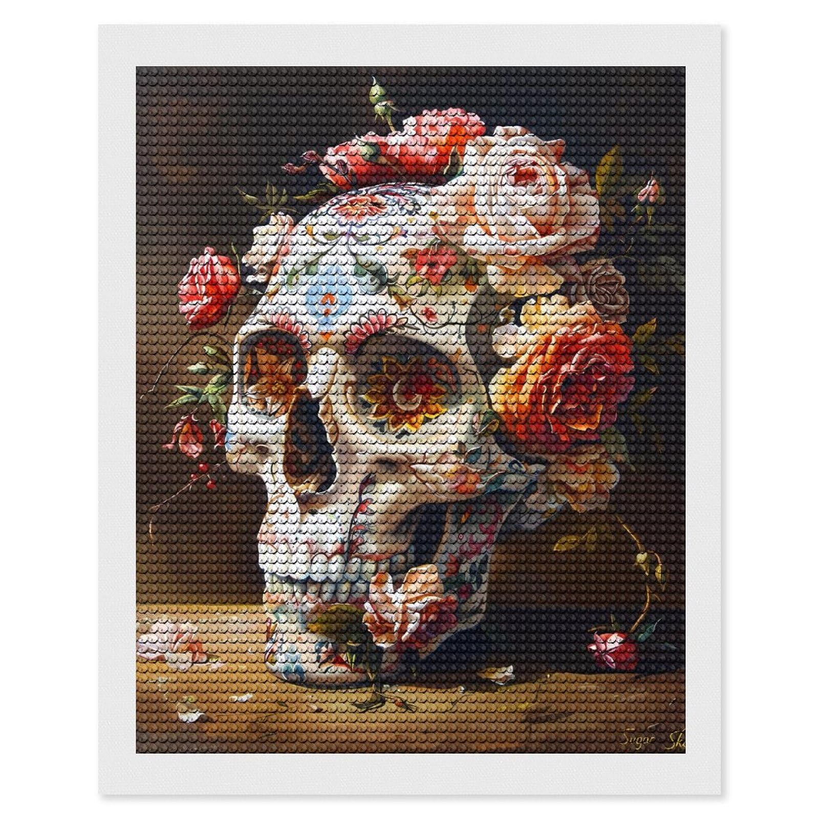 Amazon.com: Novastar Diamond Art Kits for Adults - Rose Floral