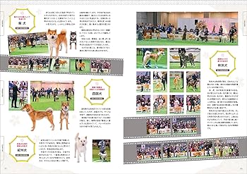 ネコの食事百科　ネコ百科シリーズ5＊愛犬の友編集部＊誠文堂新光社　　#画文堂 ネコの食事百科 ネコ百科シリーズ5＊愛犬の友編集部＊誠文堂新光