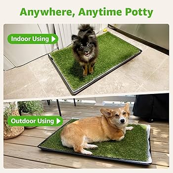 Amazon.com: Dog Grass Large Potty Patch, Dog Litter Boxes