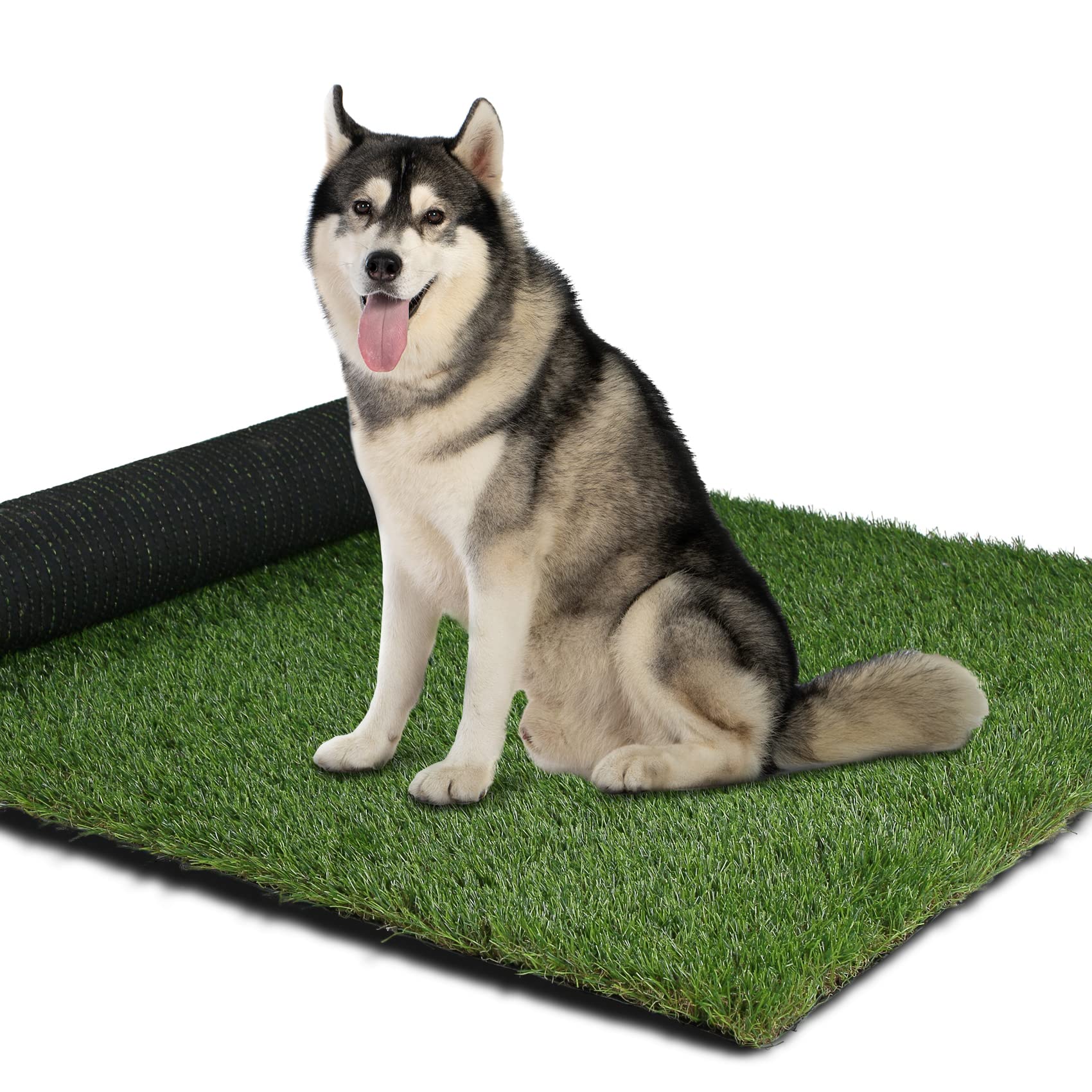 Buy XLX TURF 48" x 30" Artificial Grass for Dogs, Pet Fake Grass Pee
