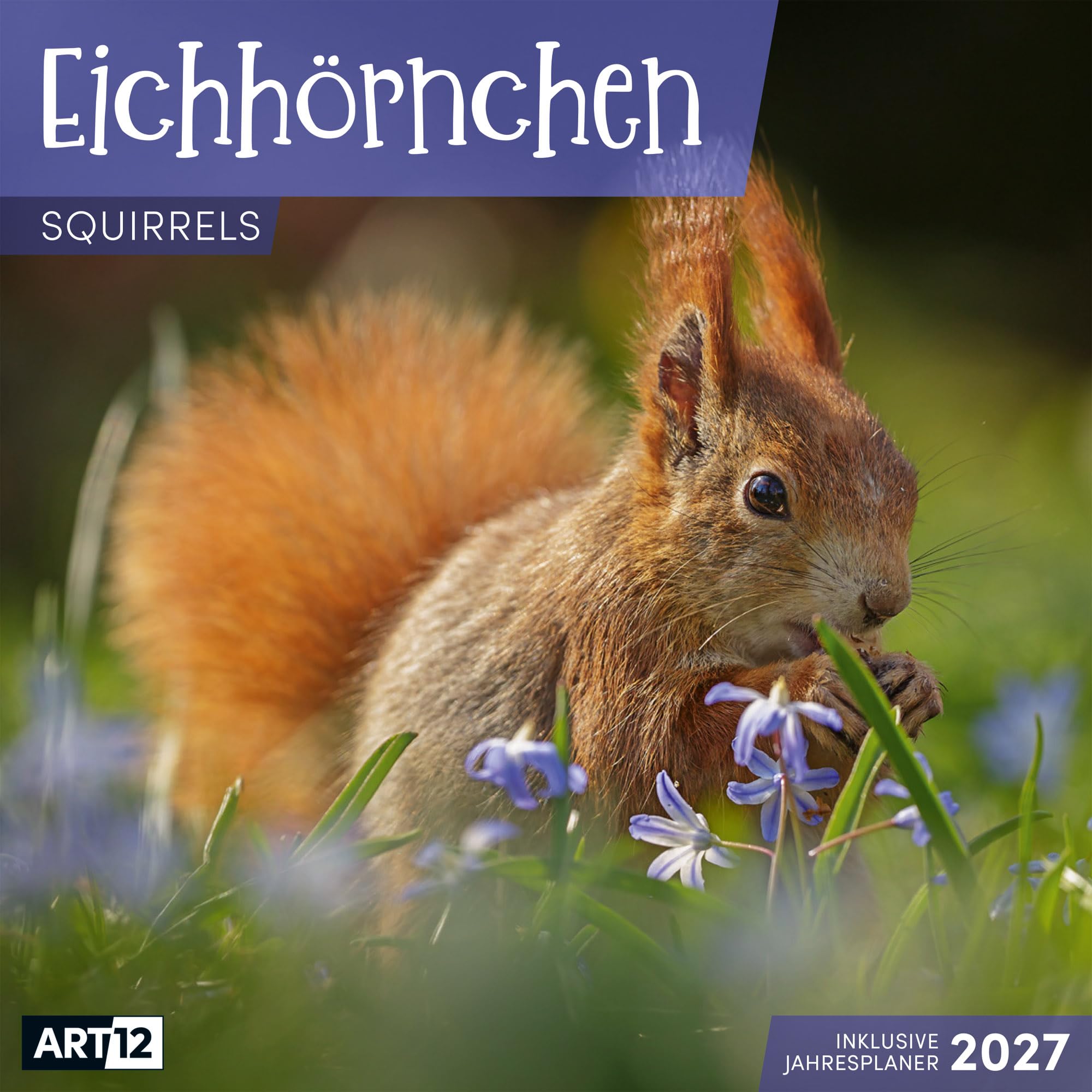 Eichhörnchen Kalender 2027 - 30x30 - Art12: Niedlicher Tier-Kalender im schlanken Hochformat (aufgeklappt 30x60 cm) | Eintrage-Kalendarium