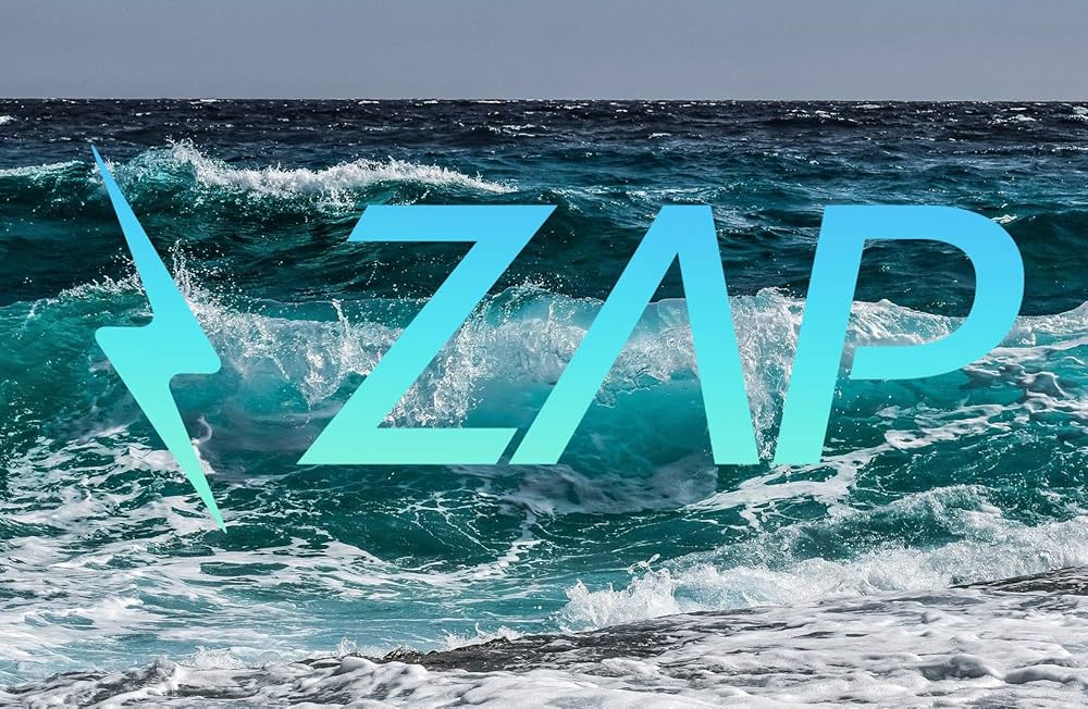 Amazon | Zap Pro スキムボード L - アソートカラー | Zap Skim