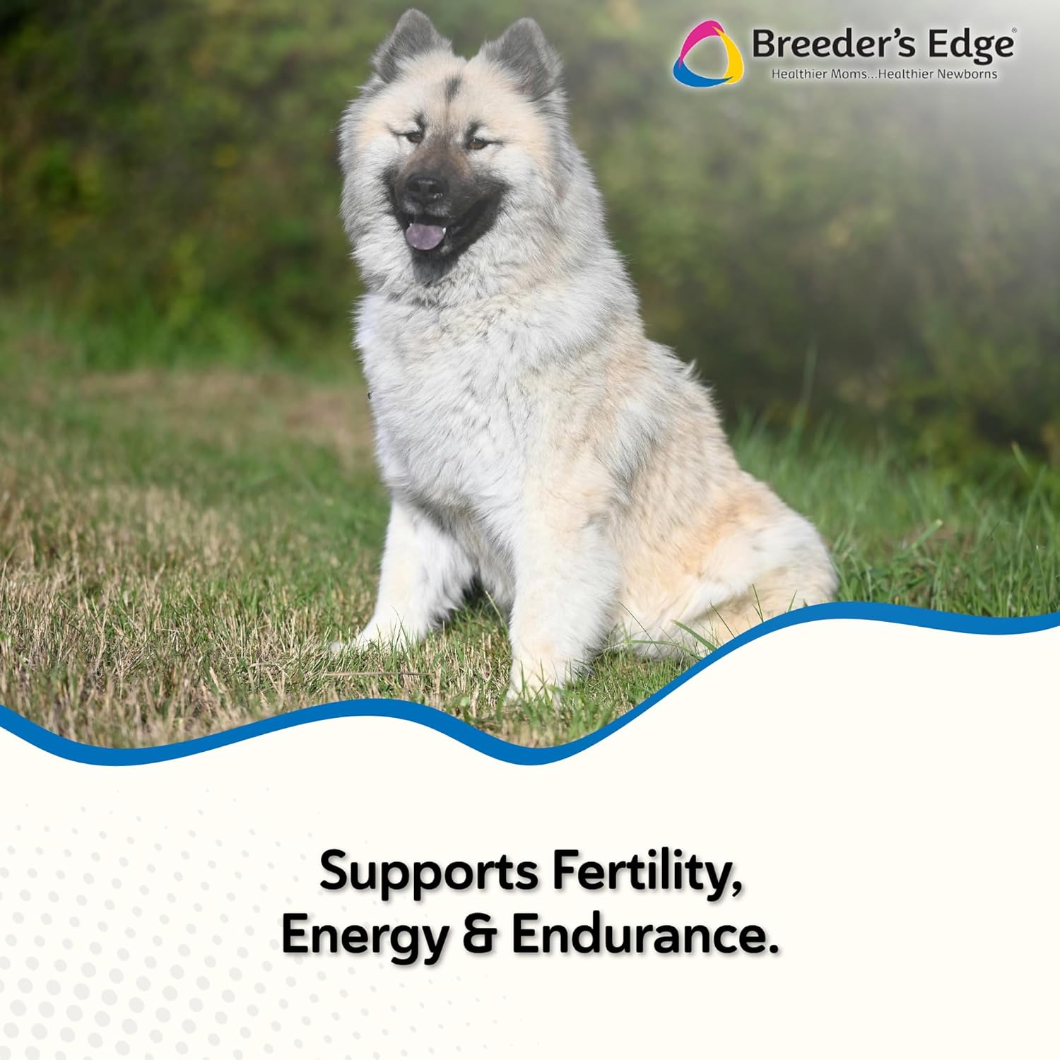 Breeder’s Edge Oxy Stud Male Supplement Multivitamin for Dogs & Cats, Helps Support Breeding, Fertility and Nutritional Needs Specific to Male Reproductive Health, Soft Chews - 60ct Medium & Large Dog