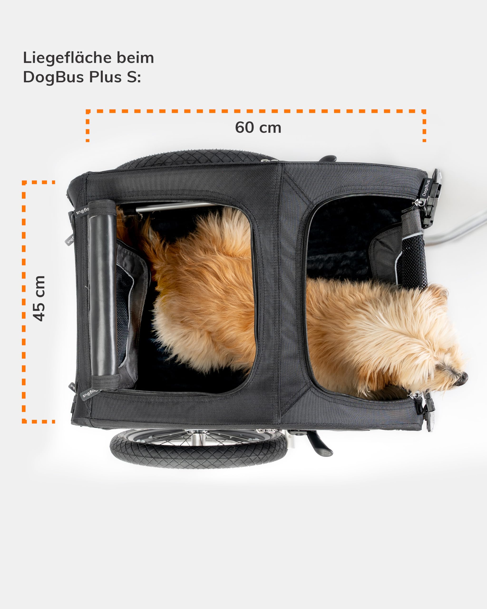 TrendPet DogBus Plus S - Gefederter Aluminium Fahrradanhänger, Hundeanhänger für kleine bis mittlere Hunde