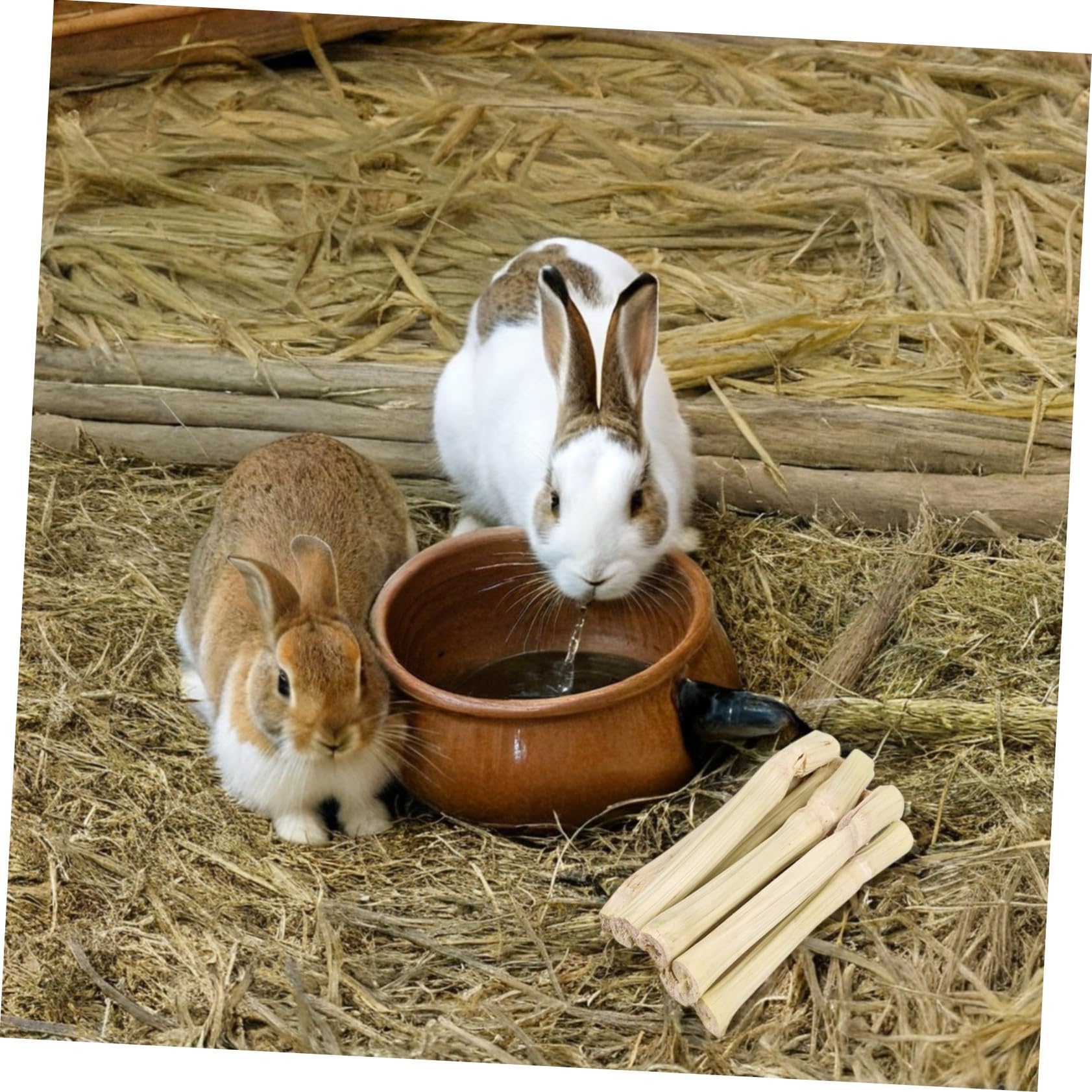 Didiseaon Varillas Dulces para Conejos y Roedores Pequeños Juguetes Masticables Interactivos para Chinchillas Hámsters y Cobayas Promueven Higiene Oral y Diversión